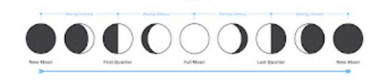 2a322e03-d4ae-40a8-b89c-d1bbbdf24da2-image.png