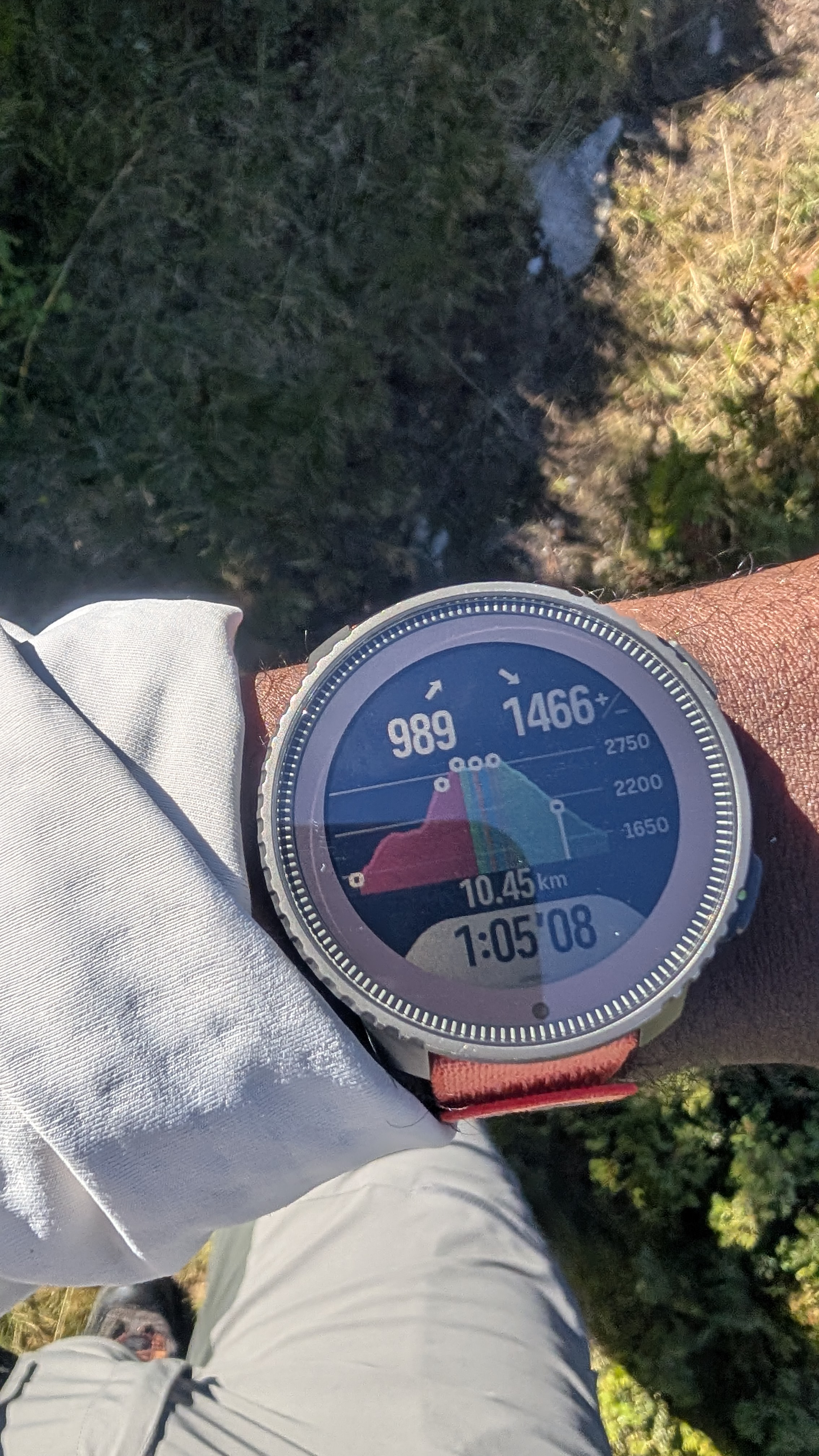 1000063295.jpg