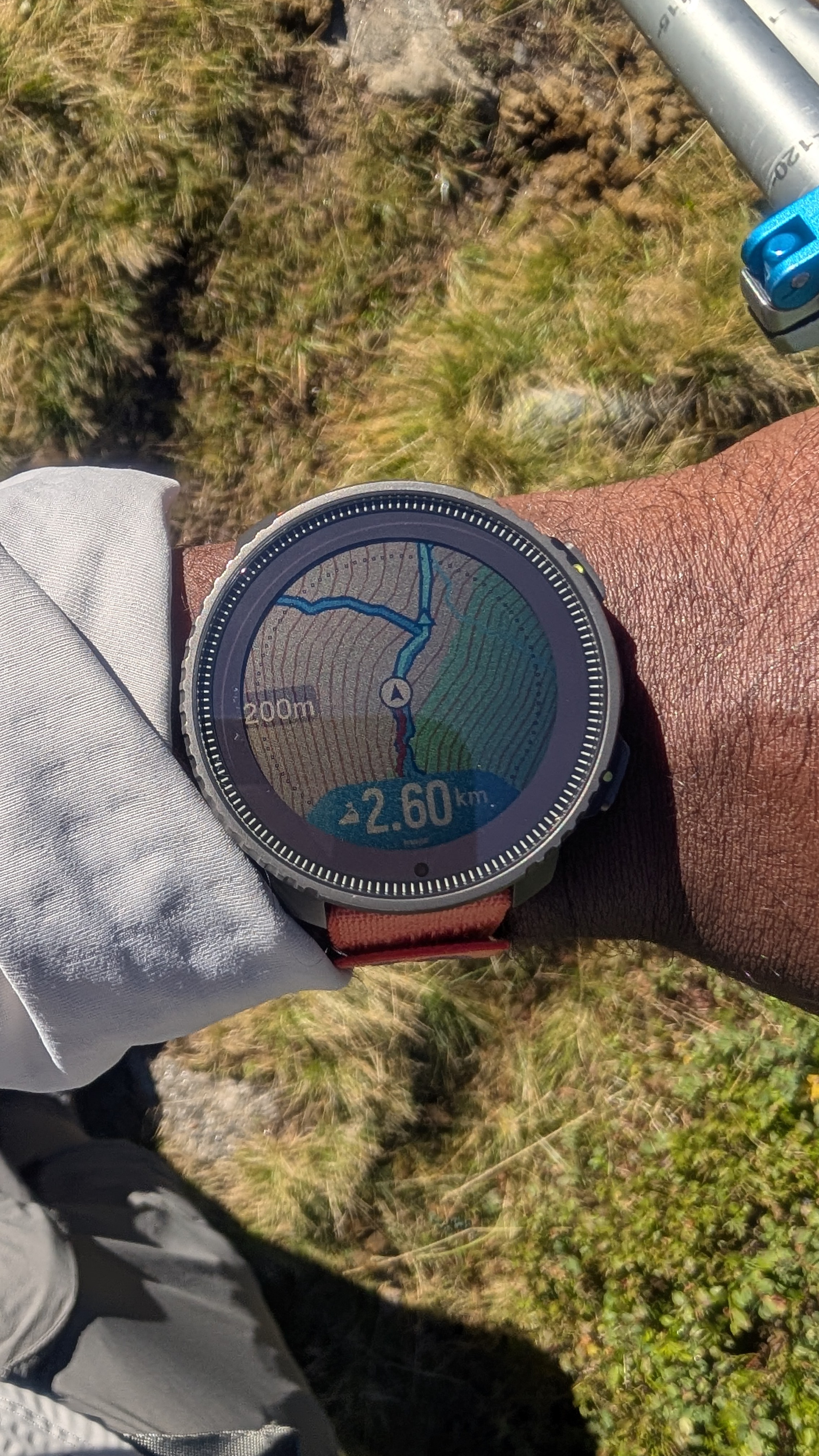 1000063294.jpg