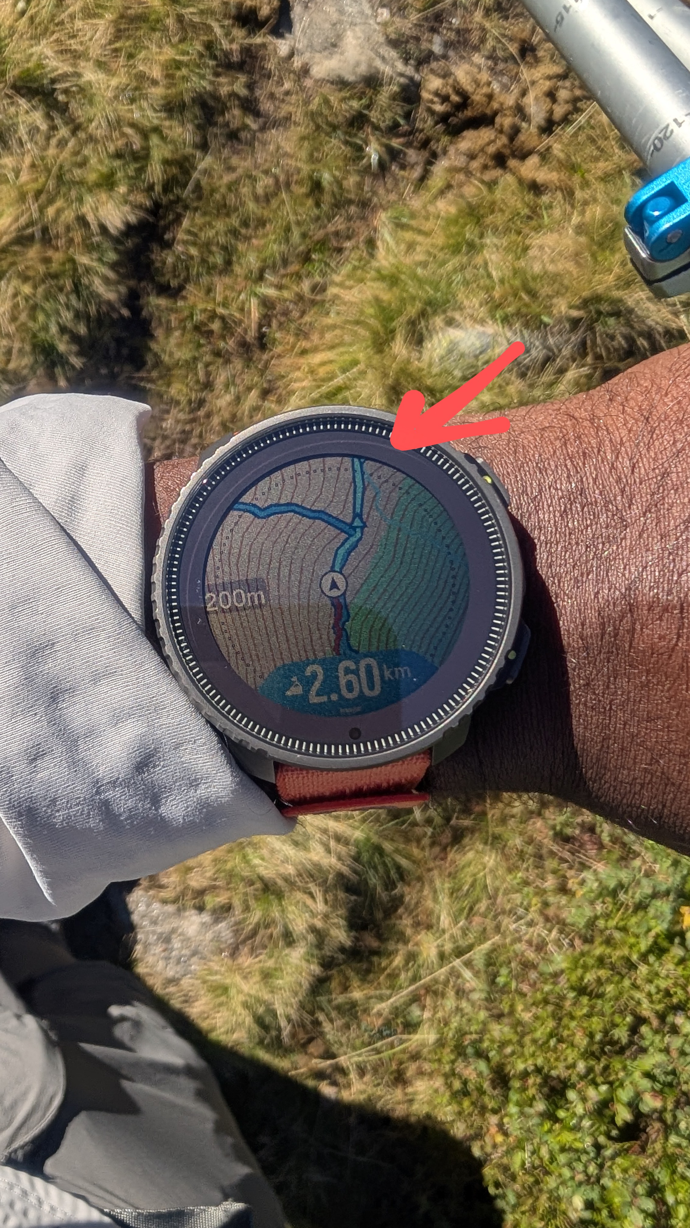 1000064214.jpg