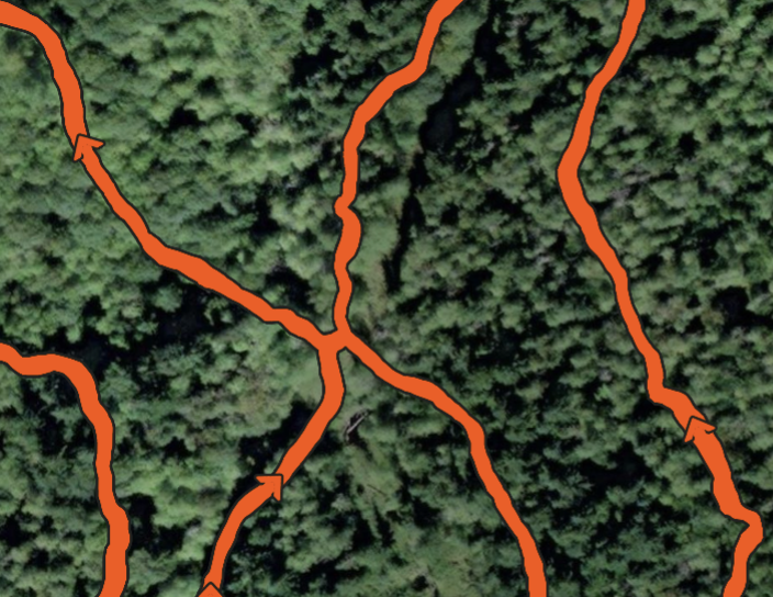 Screenshot 2026-02-21 at 4.34.05 PM.png