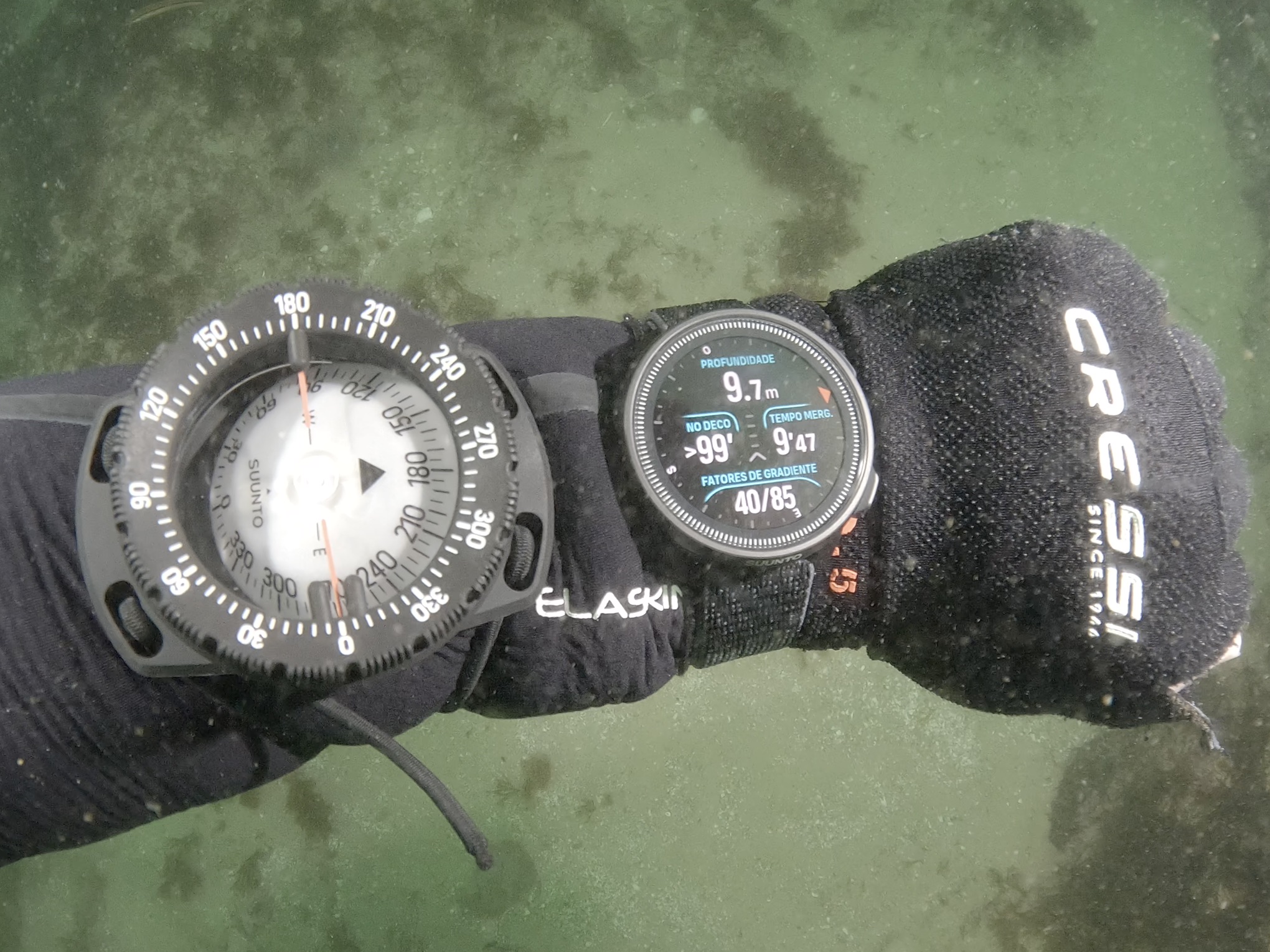 Captura de ecrã 2026-02-28, às 14.19.31.jpeg