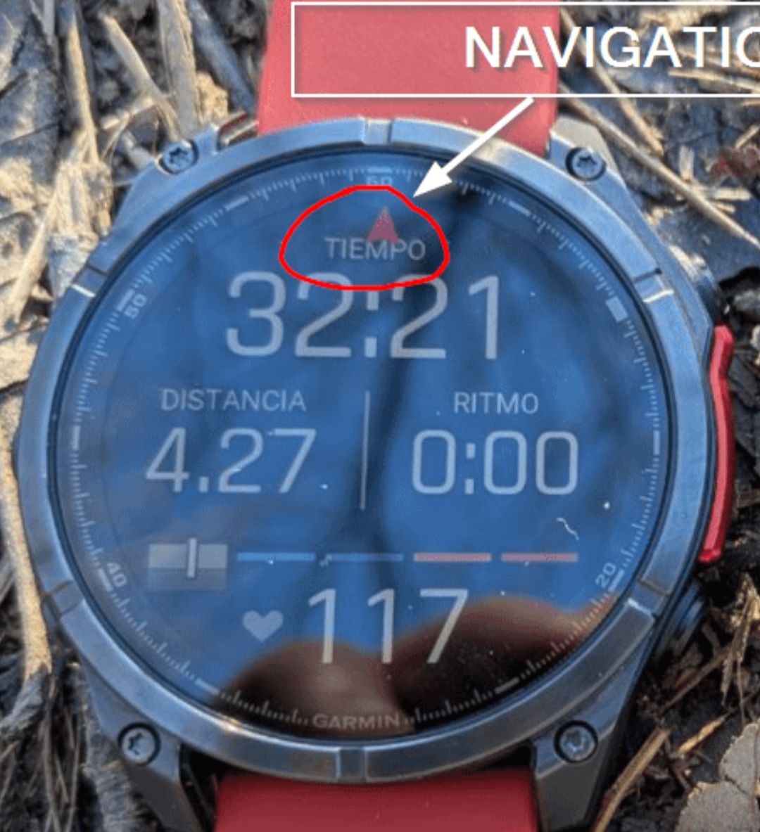 13326.jpg