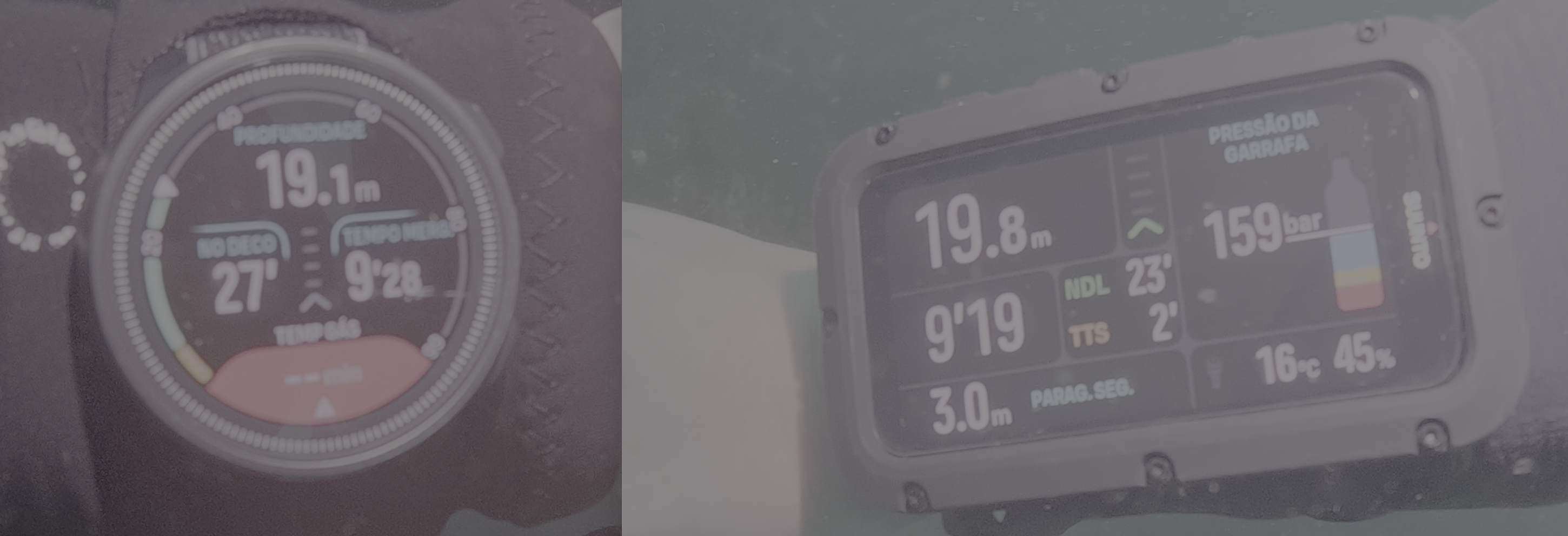 NS 4.png