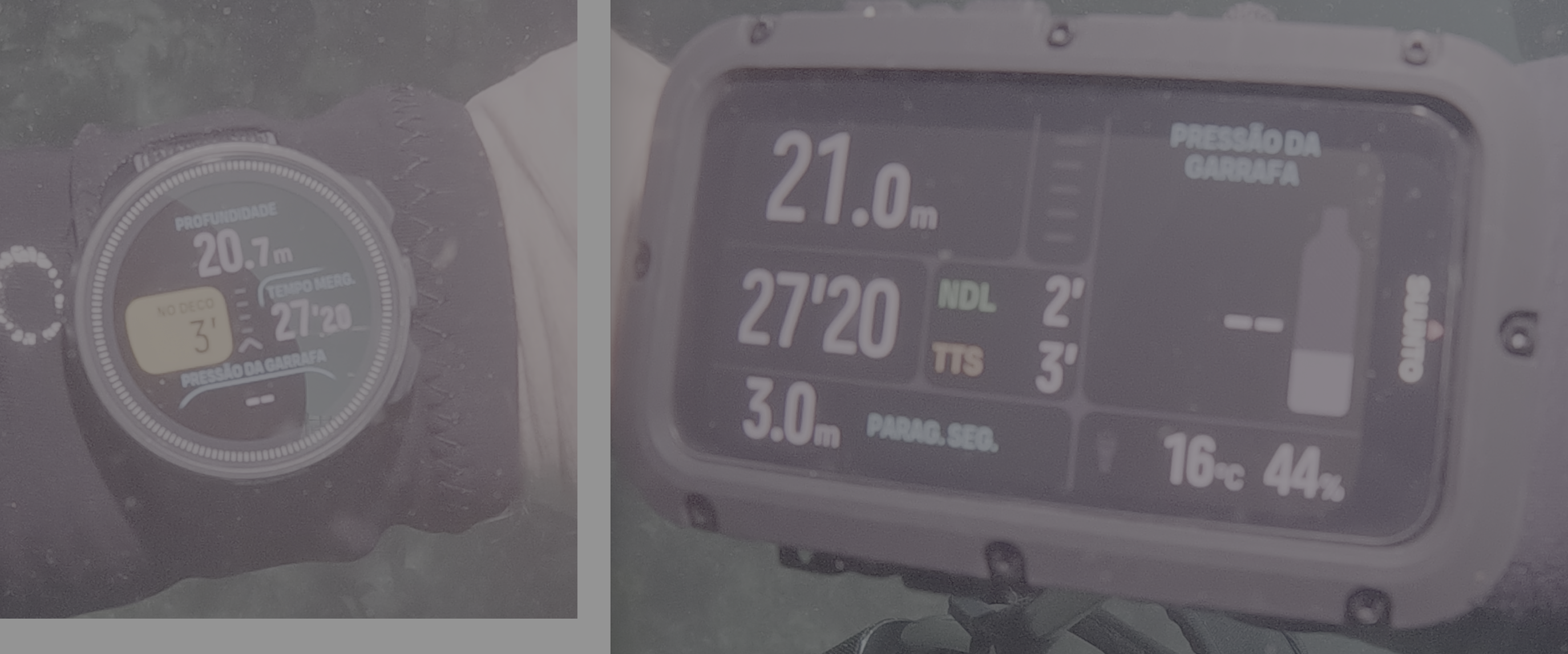 NS6.png